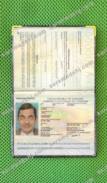 Tanzania passport photo look